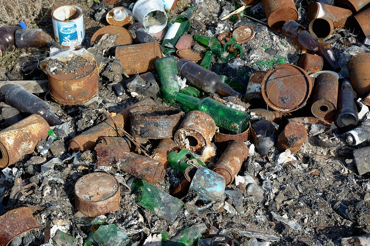 Solving the Pollution Problem to Protect Biodiversity